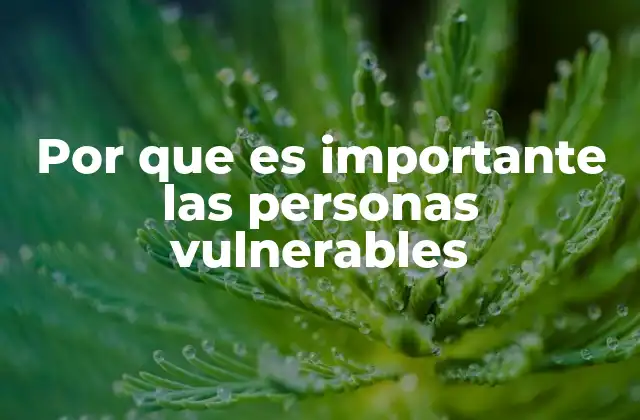 Por que es Importante las Personas Vulnerables