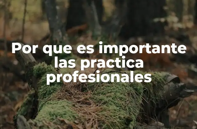 Por que es Importante las Practica Profesionales