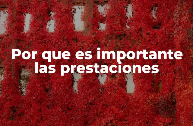 Por que es Importante las Prestaciones