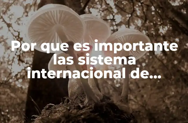 Por que es Importante las Sistema Internacional de Unidades