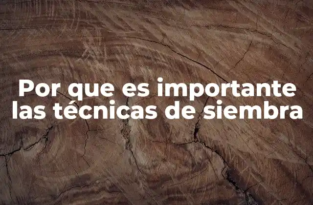 Por que es Importante las Técnicas de Siembra 2 La relación entre la siembra y la sostenibilidad agrícola