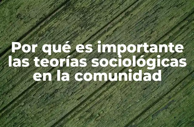 Por Qué es Importante las Teorías Sociológicas en la Comunidad