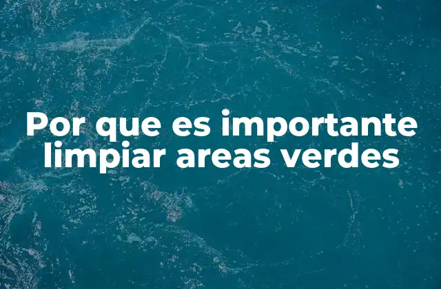 El papel de la limpieza en la sostenibilidad urbana