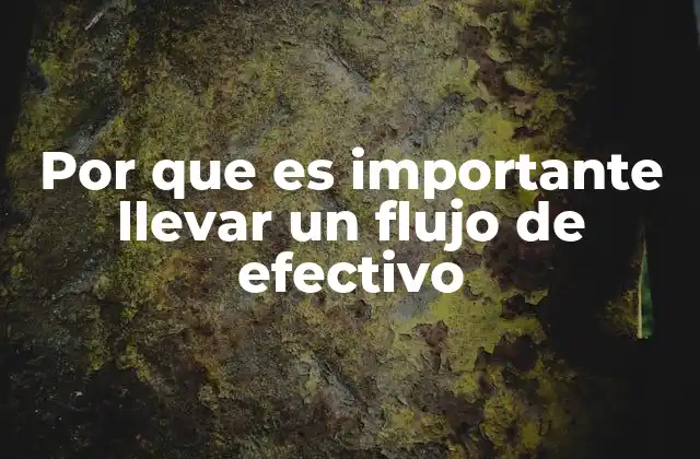 Por que es Importante Llevar un Flujo de Efectivo