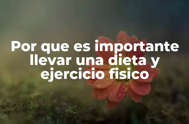 Por que es Importante Llevar una Dieta y Ejercicio Fisico