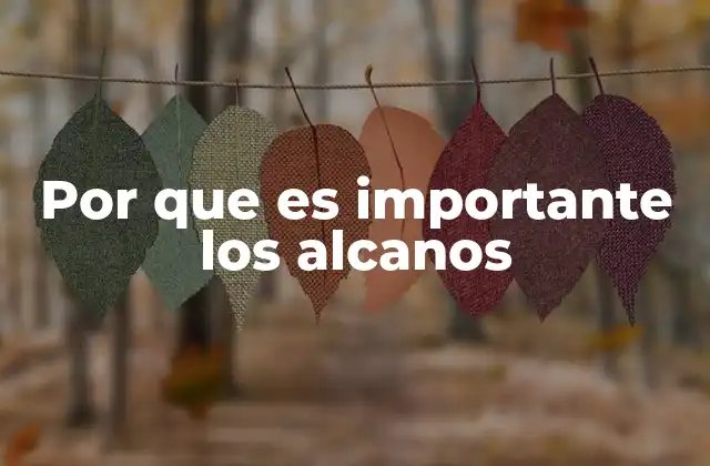 Por que es Importante los Alcanos