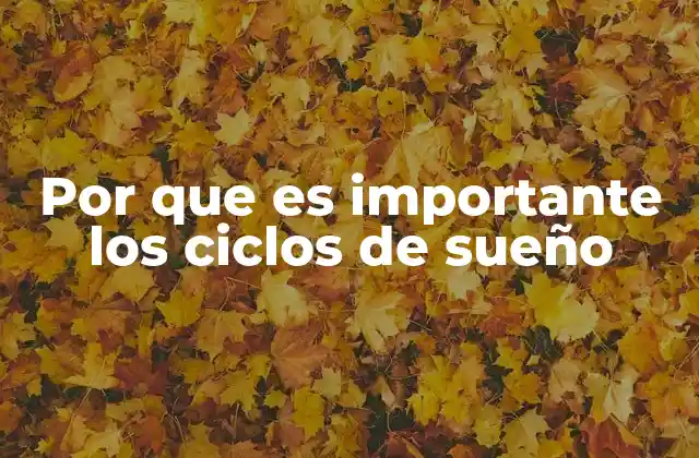 Por que es Importante los Ciclos de Sueño