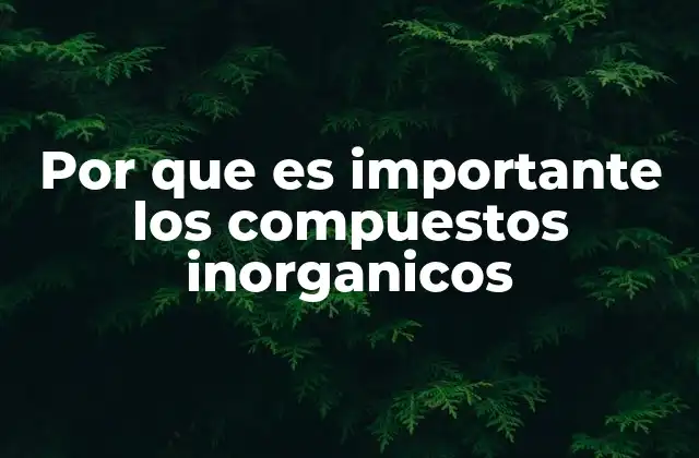 Por que es Importante los Compuestos Inorganicos