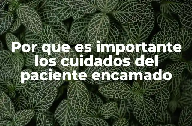 Por que es Importante los Cuidados Del Paciente Encamado