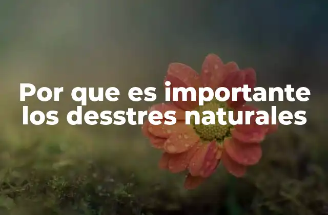 Por que es Importante los Desstres Naturales