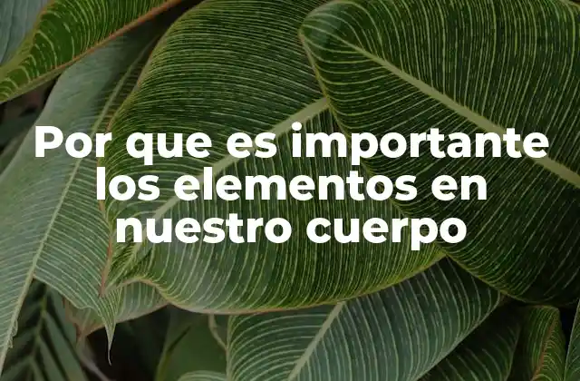 Por que es Importante los Elementos en Nuestro Cuerpo