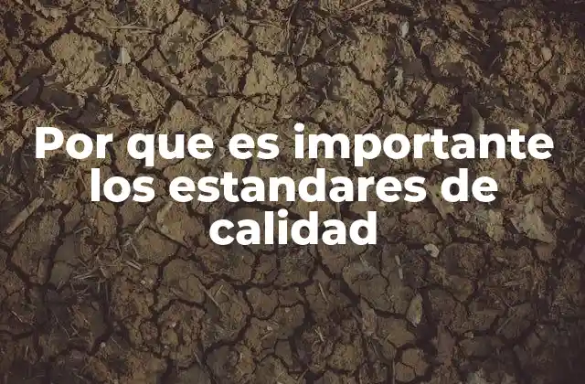 Por que es Importante los Estandares de Calidad