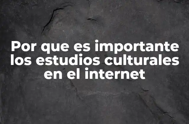 Por que es Importante los Estudios Culturales en el Internet