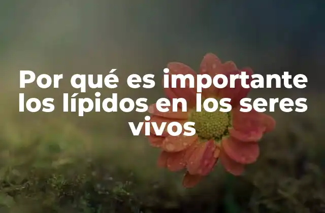 Por Qué es Importante los Lípidos en los Seres Vivos