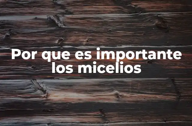 Por que es Importante los Micelios