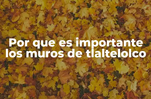 Por que es Importante los Muros de Tlaltelolco