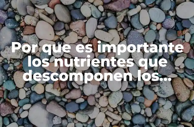 Por que es Importante los Nutrientes que Descomponen los Alimentos