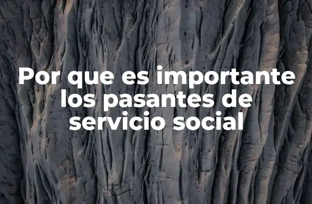 Por que es Importante los Pasantes de Servicio Social
