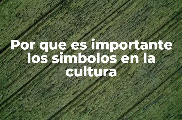 Por que es Importante los Simbolos en la Cultura