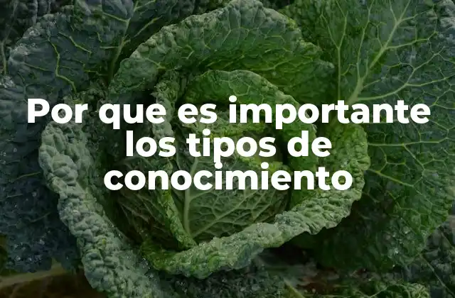 Por que es Importante los Tipos de Conocimiento