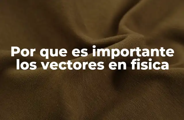 Por que es Importante los Vectores en Fisica