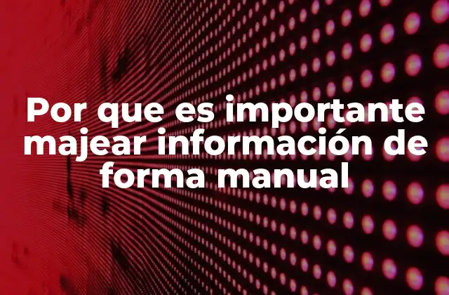 Por que es Importante Majear Información de Forma Manual