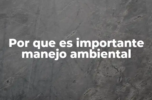 Por que es Importante Manejo Ambiental 2 El impacto del hombre en el entorno y la necesidad de estrategias sostenibles