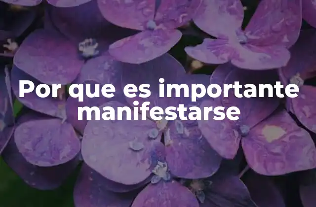 Por que es Importante Manifestarse