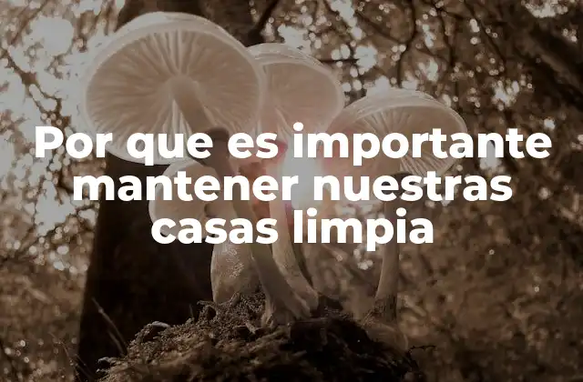Por que es Importante Mantener Nuestras Casas Limpia