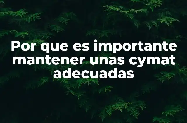 Por que es Importante Mantener unas Cymat Adecuadas