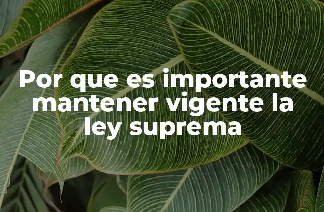 Por que es Importante Mantener Vigente la Ley Suprema