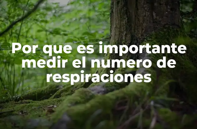 Por que es Importante Medir el Numero de Respiraciones