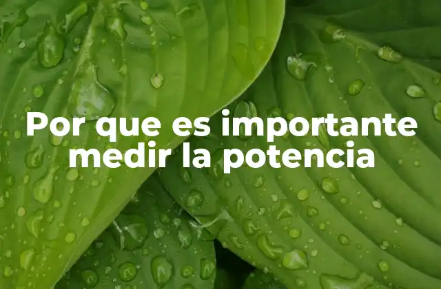 Por que es Importante Medir la Potencia