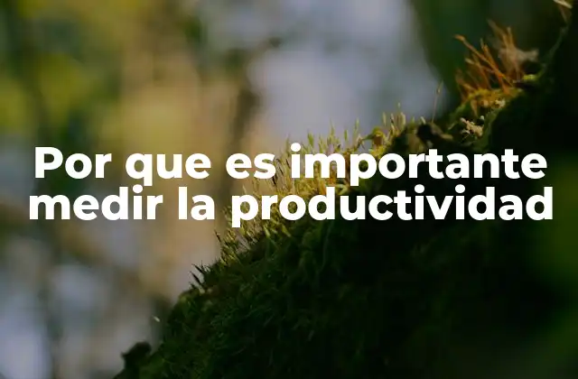 Por que es Importante Medir la Productividad