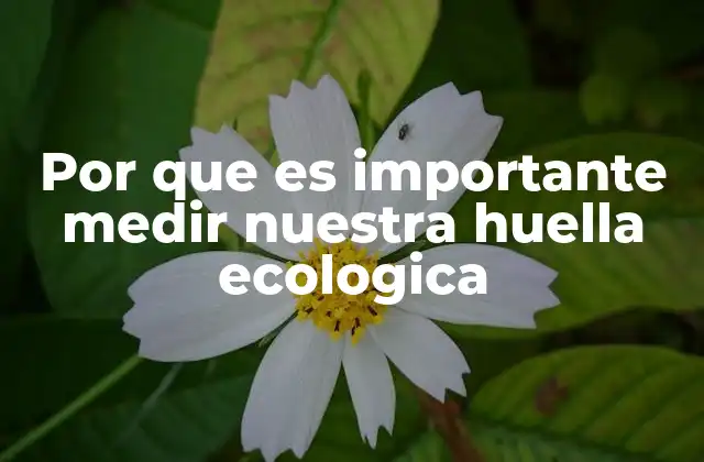 Por que es Importante Medir Nuestra Huella Ecologica