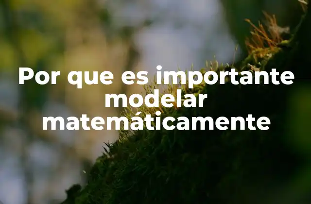 Por que es Importante Modelar Matemáticamente 2 La importancia de las representaciones abstractas en la toma de decisiones