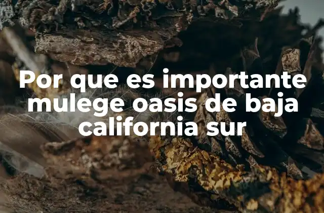 Por que es Importante Mulege Oasis de Baja California Sur