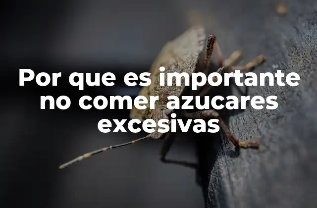 Por que es Importante No Comer Azucares Excesivas 2 Cómo el exceso de azúcar afecta al organismo