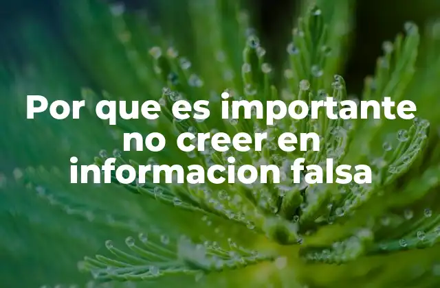 Por que es Importante No Creer en Informacion Falsa