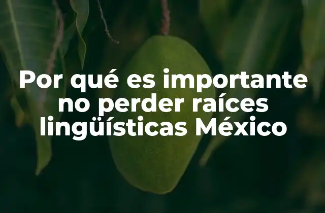 Por Qué es Importante No Perder Raíces Lingüísticas México