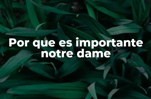 Por que es Importante Notre Dame