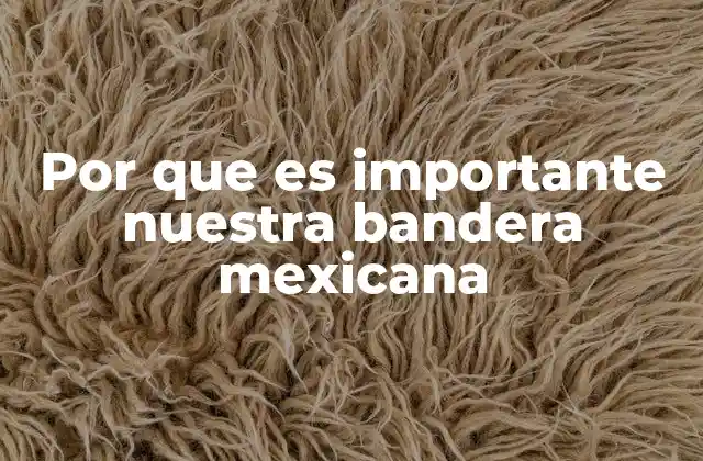 Por que es Importante Nuestra Bandera Mexicana
