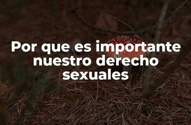 Por que es Importante Nuestro Derecho Sexuales