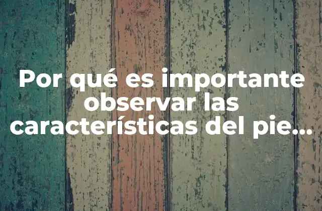 Por Qué es Importante Observar las Características Del Pie Diabético