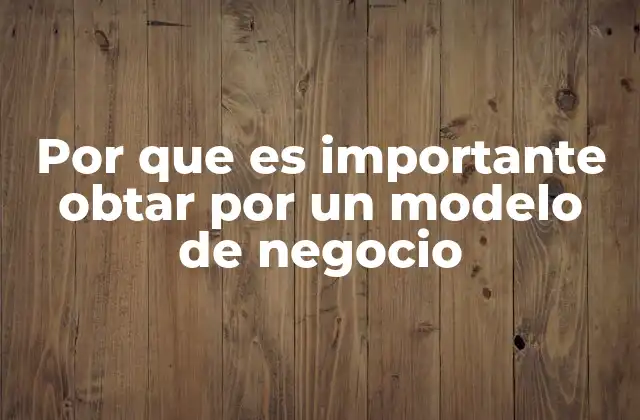 Por que es Importante Obtar por un Modelo de Negocio