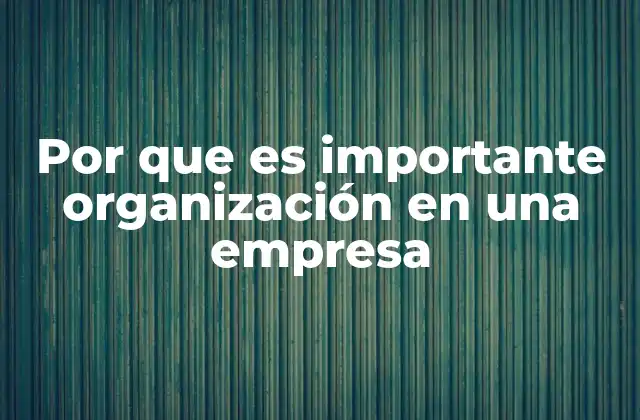 Por que es Importante Organización en una Empresa