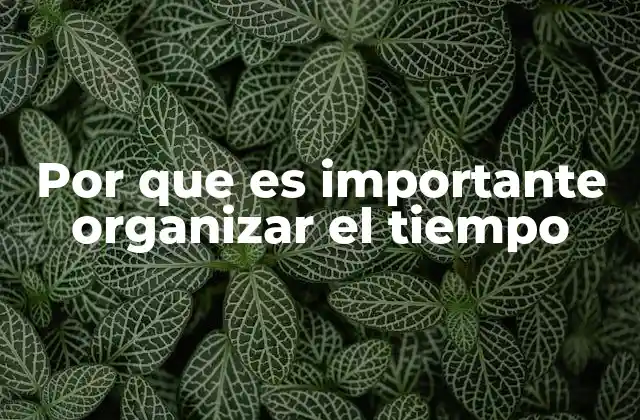 Por que es Importante Organizar el Tiempo
