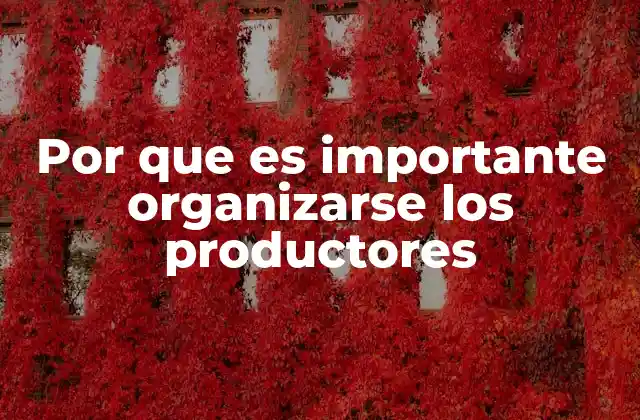 Por que es Importante Organizarse los Productores