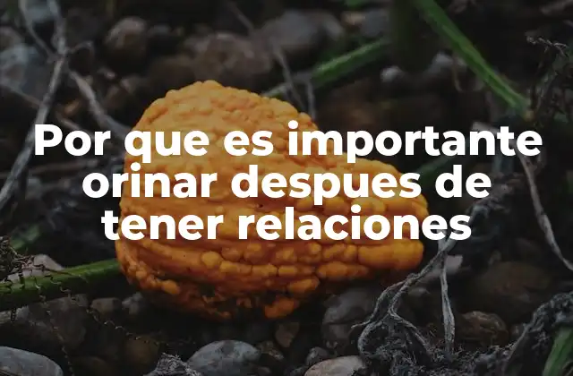 Por que es Importante Orinar Despues de Tener Relaciones