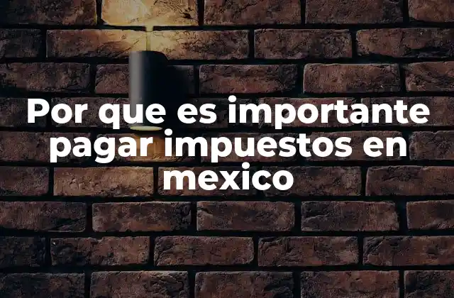 Por que es Importante Pagar Impuestos en Mexico